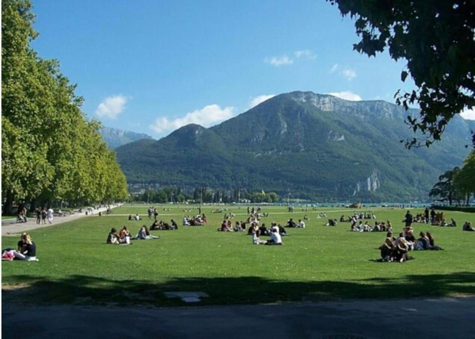 La Petite Venise Des Alpes, Ultra Centre 1 A 5 Pers Annecy Exterior foto