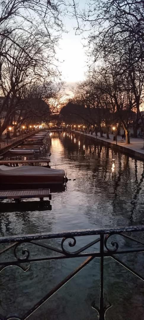 La Petite Venise Des Alpes, Ultra Centre 1 A 5 Pers Annecy Exterior foto